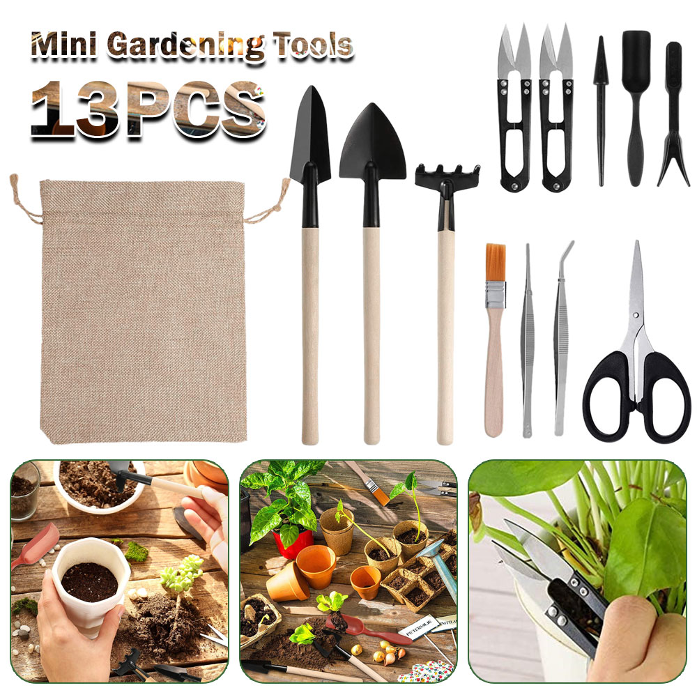 Bonsai Garden Miniature - Outils pour plantes succulentes, Mini outils