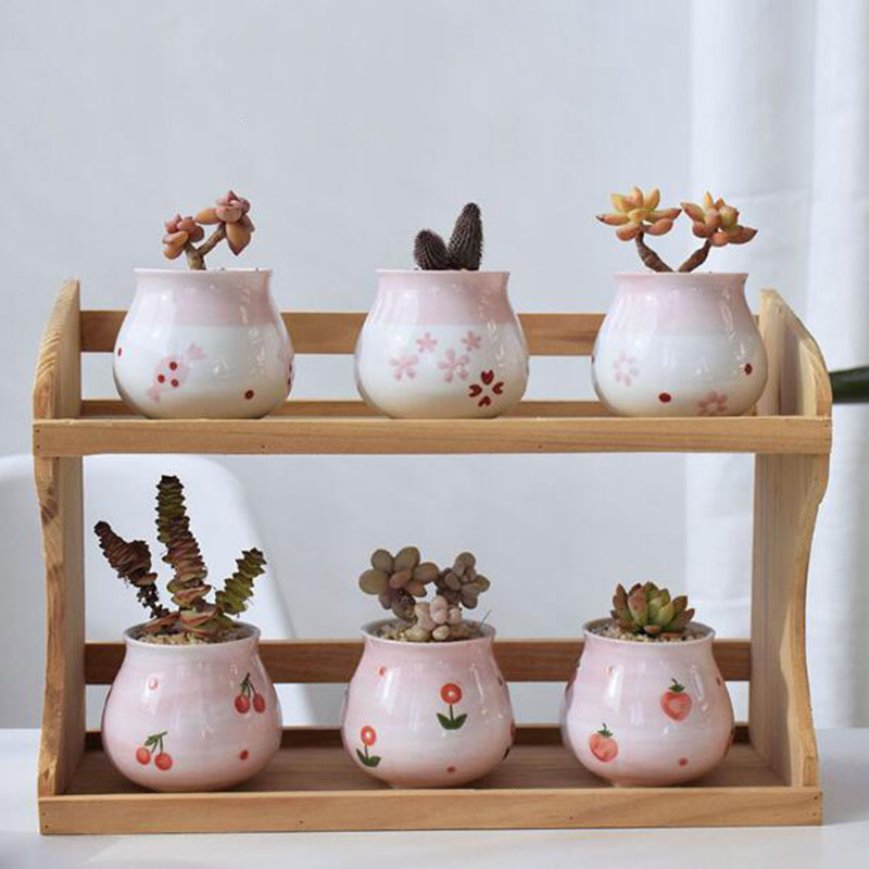 Pot de plantes charnues en for - Bonsai Garden Europe avis et prix