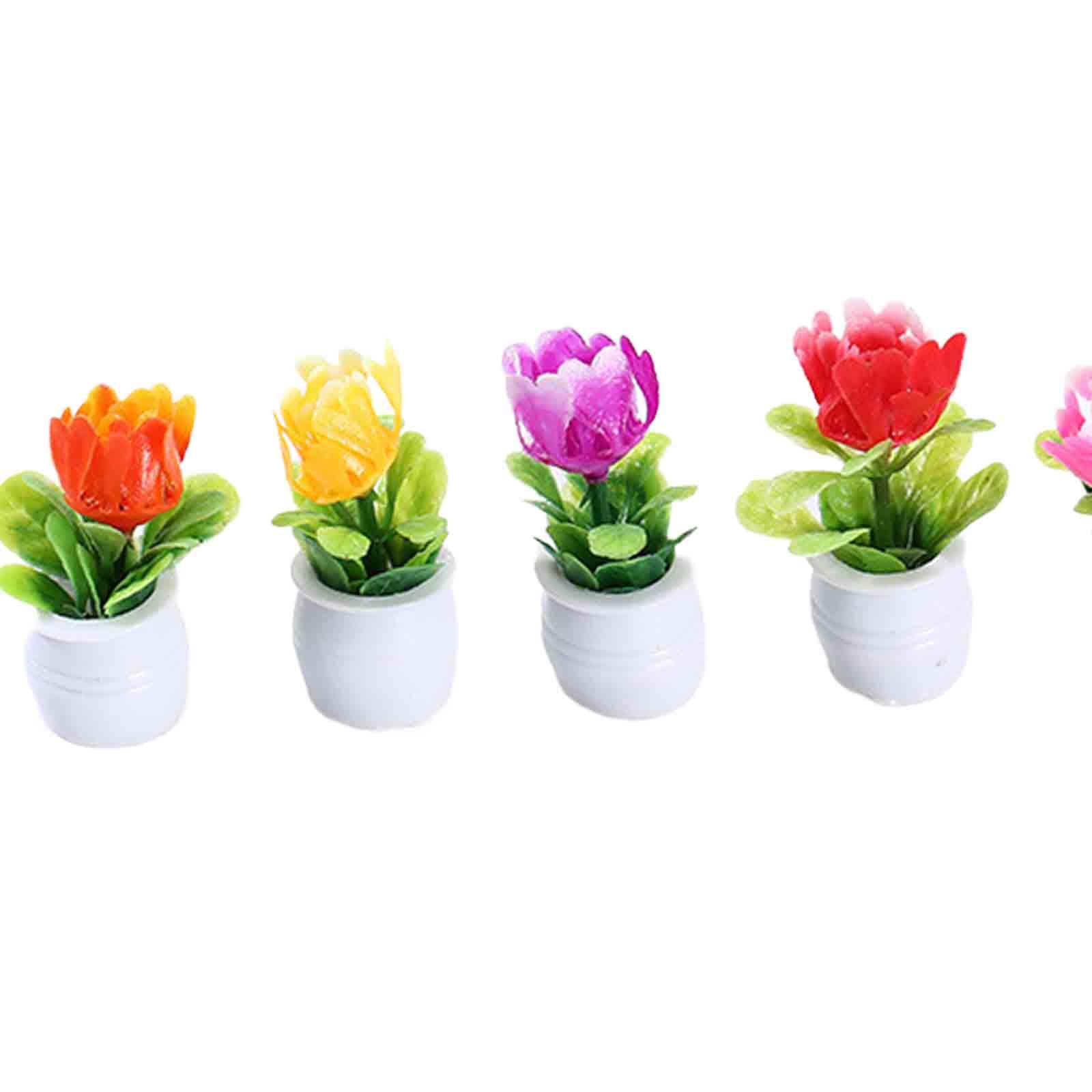 Pot de fleurs miniature pour m - Bonsai Garden Europe avis et prix