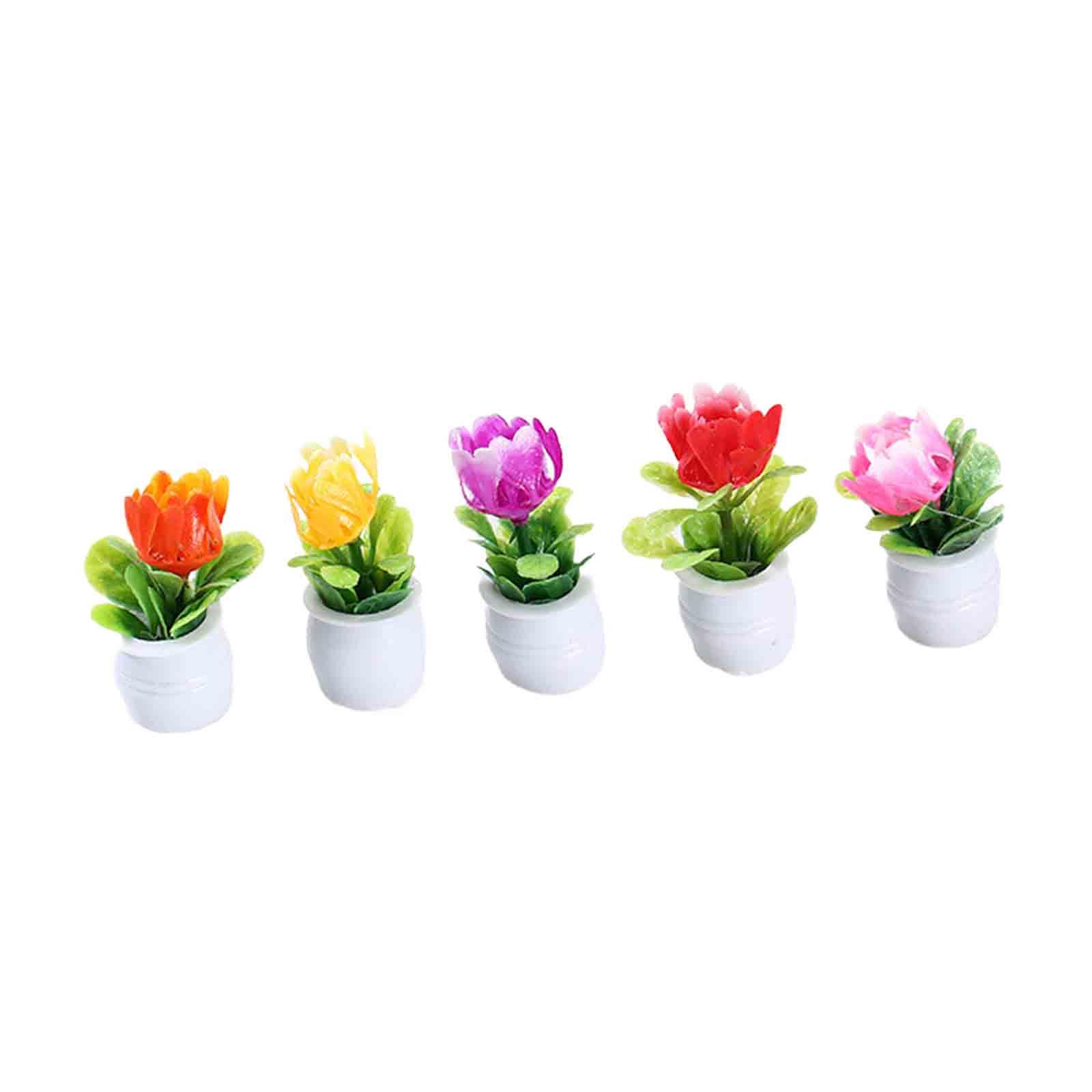 Pot de fleurs miniature pour m - Bonsai Garden Europe avis et prix