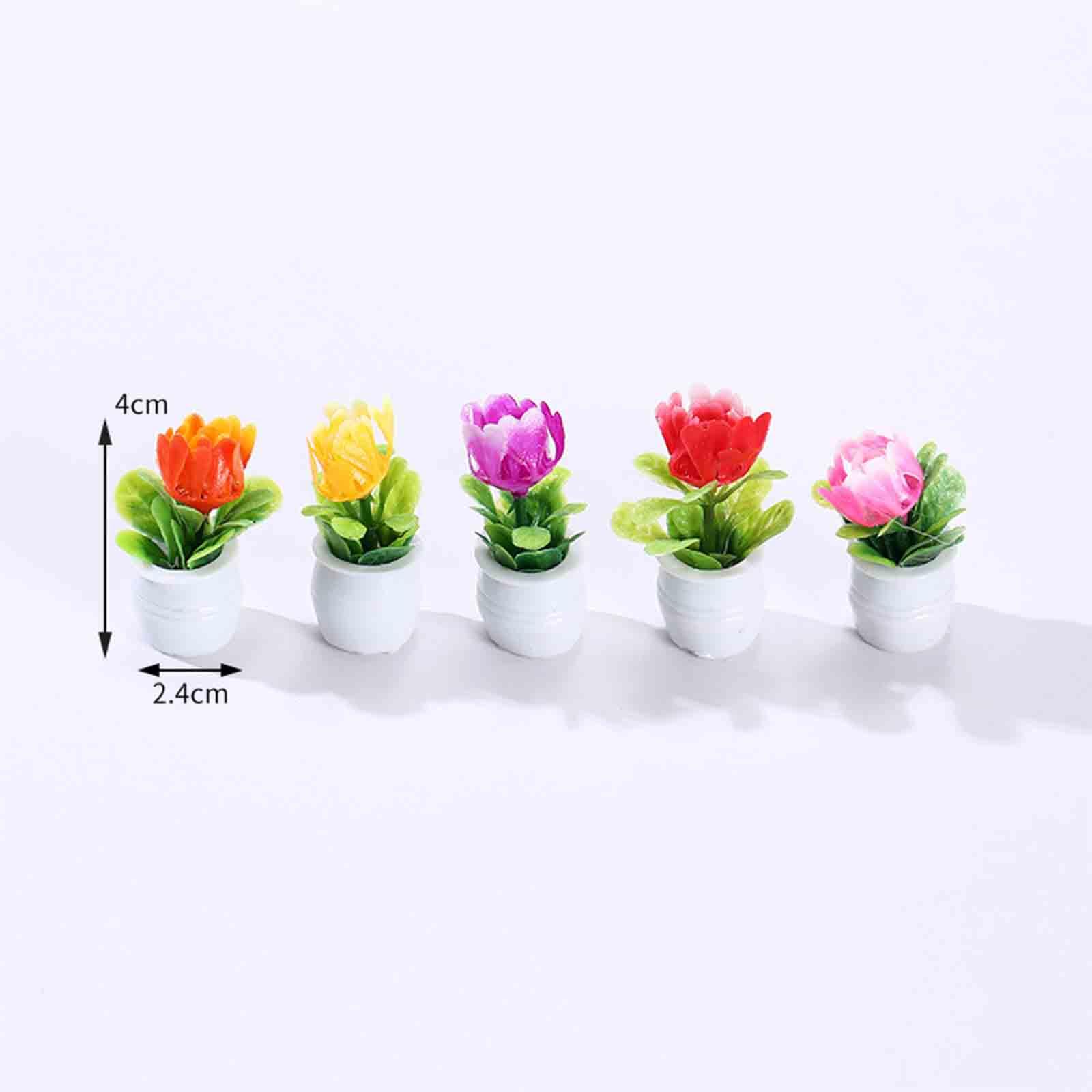 Pot de fleurs miniature pour m - Bonsai Garden Europe avis et prix