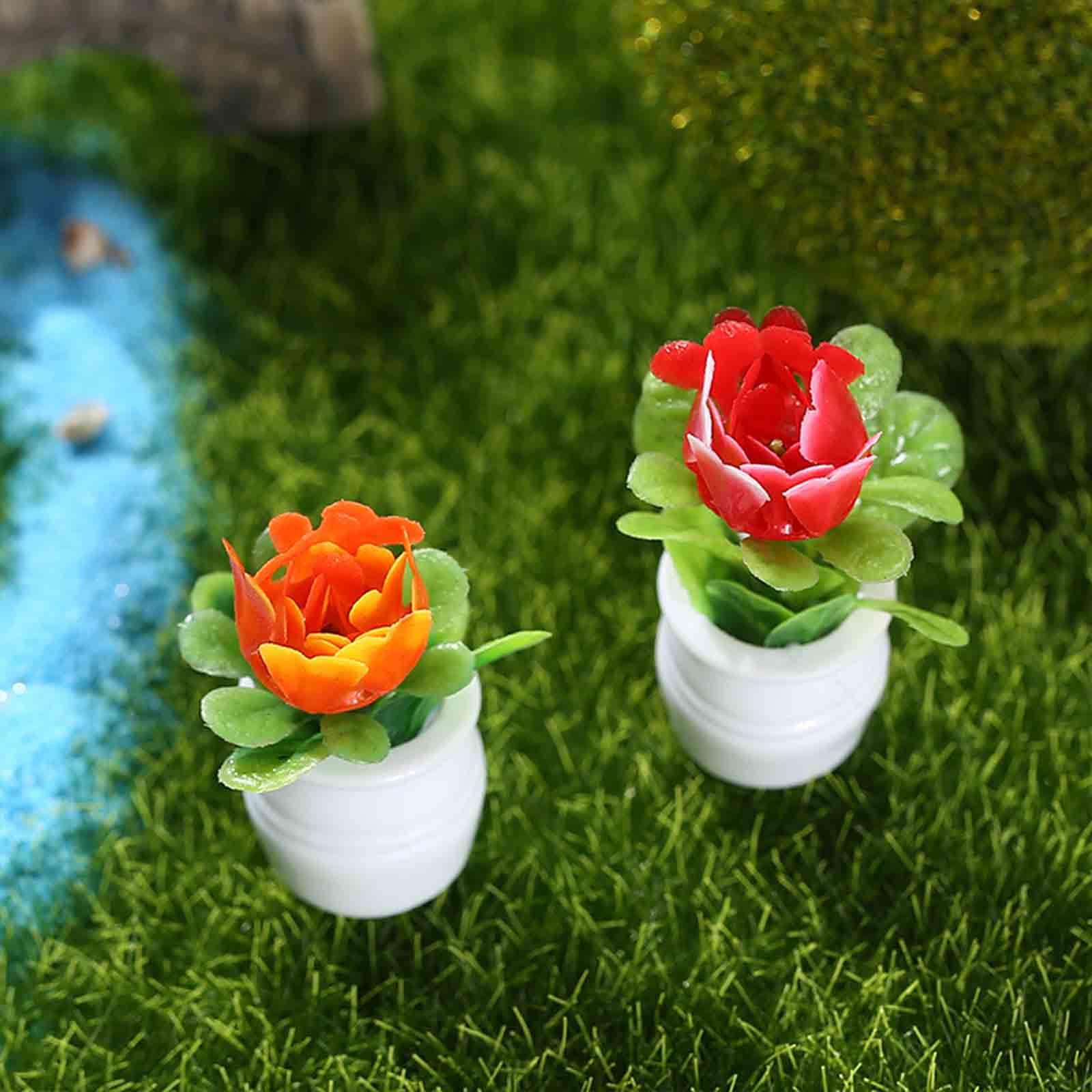 Pot de fleurs miniature pour m - Bonsai Garden Europe avis et prix