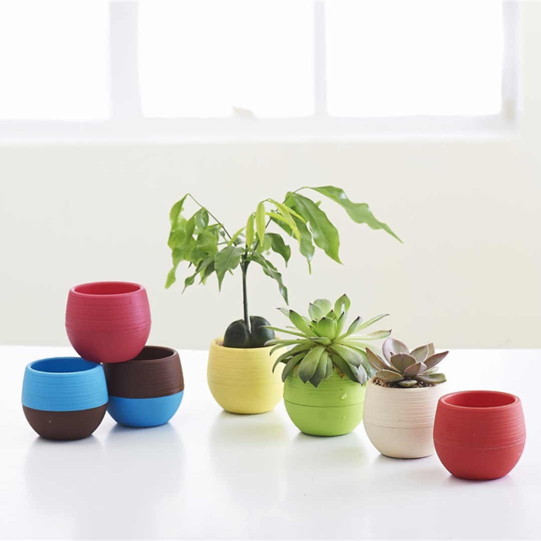 Mini Pots de fleurs en plastiq - Bonsai Garden Europe avis et prix