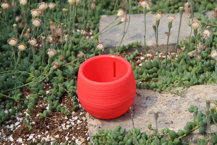 Mini Pots de fleurs en plastiq - Bonsai Garden Europe avis et prix