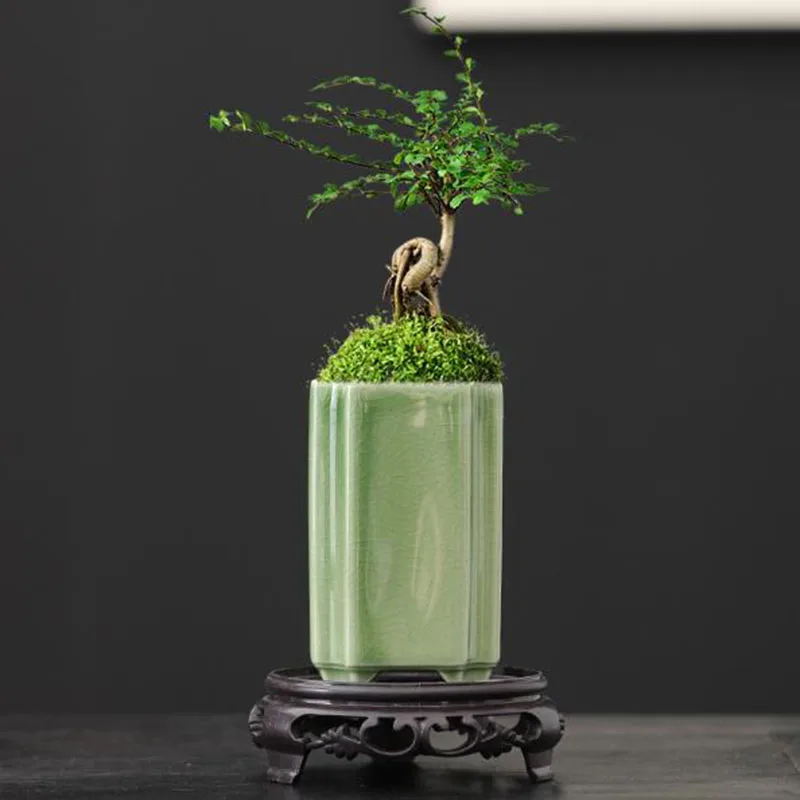 Pot à fleurs en céramique carr - Bonsai Garden Europe avis et prix