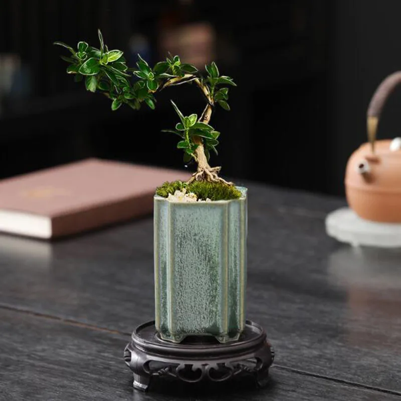 Pot à fleurs en céramique carr - Bonsai Garden Europe avis et prix